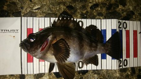 流れの中の変化